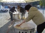 DSC06202.jpg
