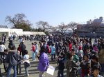 DSC06218.jpg
